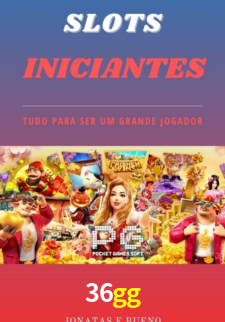 Premium Interface 36gg